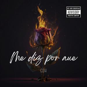 Me Diz Por Que (feat. Caçadores De Harmonia)