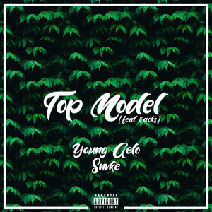 Top Model (feat. $acks) [Explicit]