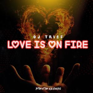 Love Is On Fire (Original Mix)