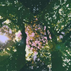 Hideaway