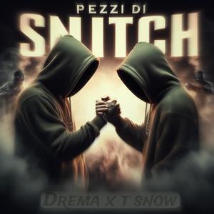 Pezzi di snitch (feat. T snow) (Explicit)