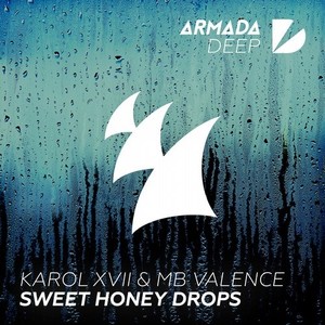 Sweet Honey Drops (Original Mix)