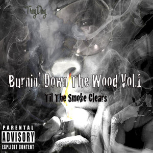 Burnin Down the Wood, Vol. 1 (Til the Smoke Clears) [Explicit]