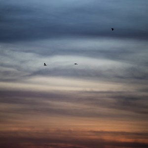 关不上的窗 (R&B男版)