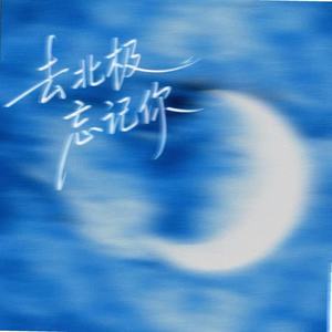 去北极忘记你-你星