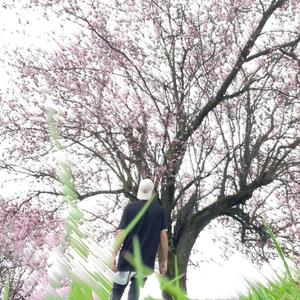 epitath (feat. hollowshawdy) (Explicit)