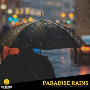 Paradise Rains - Nature Sounds from Thundering Forest, Vol. 6