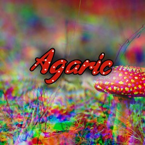 Agaric