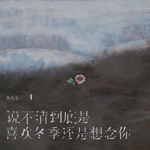 说不清到底是 (喜欢冬季还是想念你)封面
