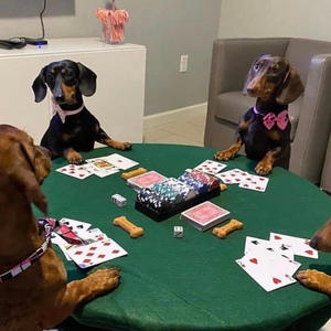 Gamble (feat. Kinslow & DelusionalTJ|Explicit)