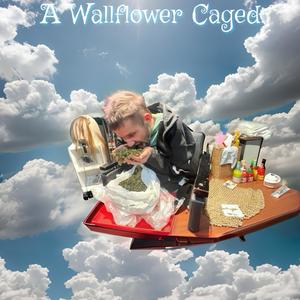 A Wallflower Caged