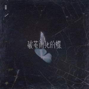 辛雯 - 破茧而死的蝶