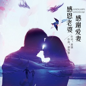 感恩老婆感谢爱妻 (DJ阿奇版)