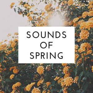 Sounds Of Spring