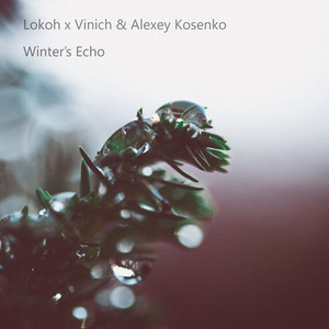 Winter's Echo