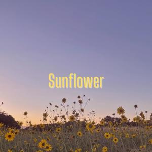 Sunflower (Acoustic)