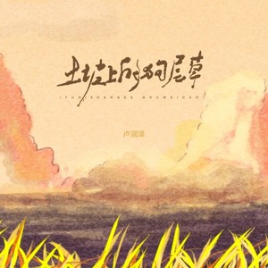 卢润泽 - 土坡上的狗尾草 (DJ小新版)