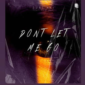 Dont Let Me Go (Radio Edit) [Explicit]