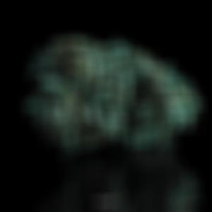 SMOKIN FLOWERZ (feat. DOUBLEDEE) (Explicit)