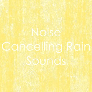 12 White Noise Rain Sounds: Deep Sleep