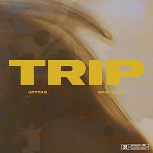 Trip (feat. Shay$hak) [Explicit]