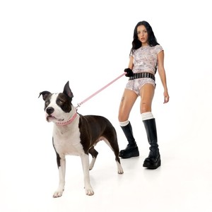 No Genius (Explicit)