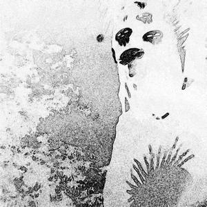 empty (fast) (Explicit)