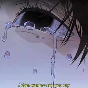 I dont want to see you cry