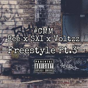 Freestyle Pt.3 #CMM