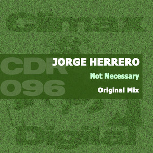 Not Necessary (Original Mix)