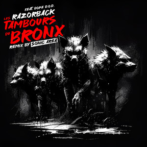 RAZORBACK (Sonic Area Remix) [Explicit]