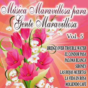 Musica Maravillosa Vol.5