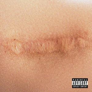 Cicatrices (Explicit)
