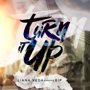 Turn It Up(feat. Bip)