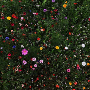 gloss (feat. springs!)