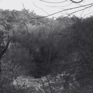 Ya No Puedo Seguir Mas