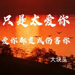 只是太爱你（爱你都变成伤害你）