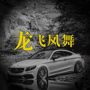 我该怎么告诉你 (DJ攀娘版)