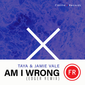Am I Wrong (EDGER Remix Extended Mix)