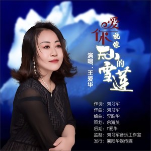 爱你像天山的雪莲 (DJ伟然版)封面