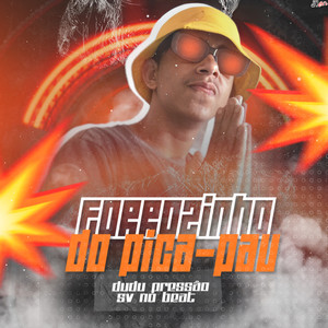 Forrozinho do pica-pau (Explicit)