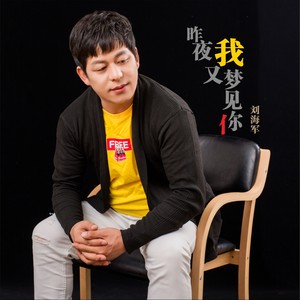 昨夜我又梦见你
