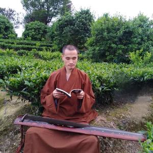 菩提樹下的凝思