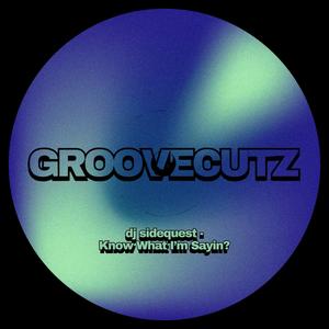 Know What I'm Sayin? (Explicit)