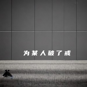 沈丹丹 - 为某人破了戒