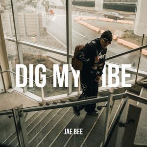 Dig My Vibe (Explicit)