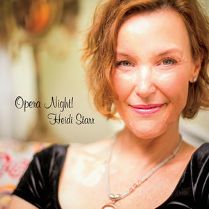 Con Te Partiro (Time to Say Goodbye)