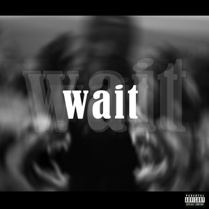 Wait (Explicit)