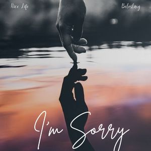 I'm Sorry