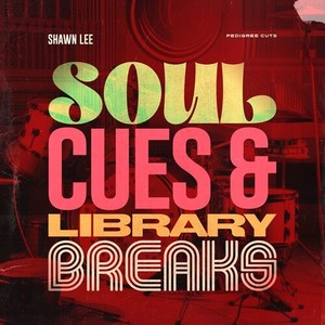 Soul Cues & Library Breaks (Explicit)